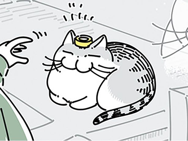 マスキングテープをのせてみたら… （C）キュルZ／KADOKAWA