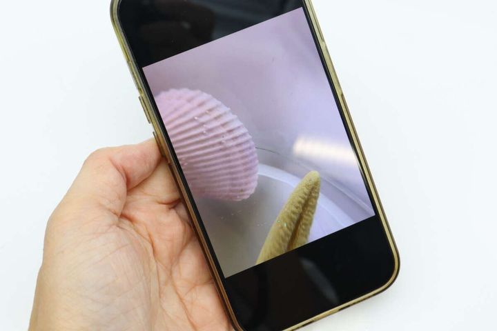 スマートフォン防水ケース（パープル） 撮影画像