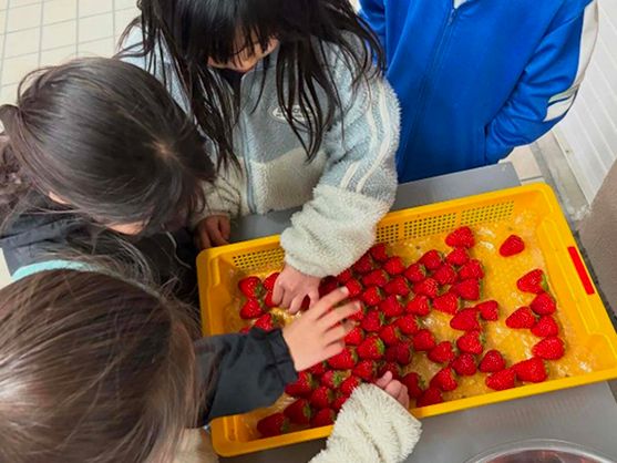 【兵庫県神戸市】建設会社が小学生向け「地域農業の未来を育む体験学習」開催。耕作放棄地が農園に