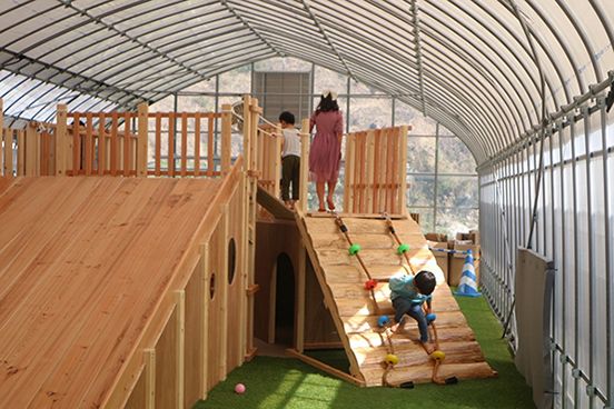 【兵庫県神戸市】建設会社が小学生向け「地域農業の未来を育む体験学習」開催。耕作放棄地が農園に