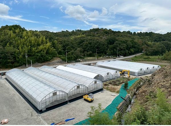 【兵庫県神戸市】建設会社が小学生向け「地域農業の未来を育む体験学習」開催。耕作放棄地が農園に