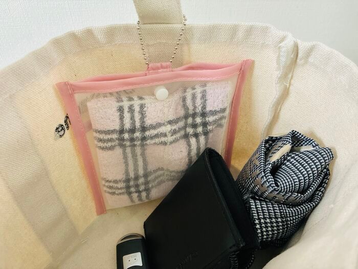 【セリア】「バッグの中がジメジメ問題」をついに解決！フラットな『専用ポーチ』がこれからの季節に大活躍♪