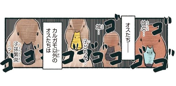 カルガモ以外のオスたちは （C）piro piro piccolo／KADOKAWA