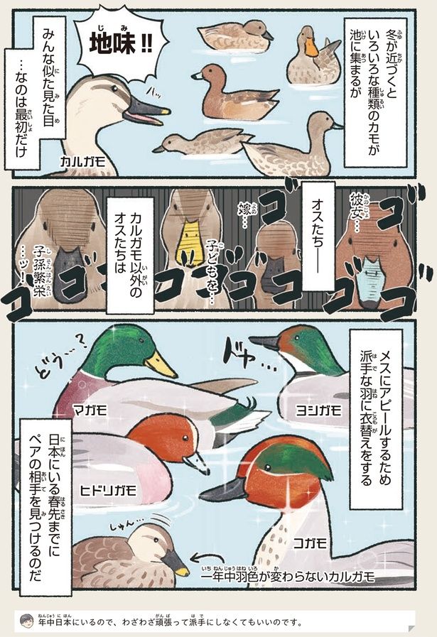 地味！！ （C）piro piro piccolo／KADOKAWA