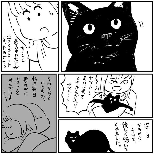 人懐っこいママのヤマトが夢の中で会いに来てくれるようになった 画像提供；(c)しろやぎ秋吾／双葉社