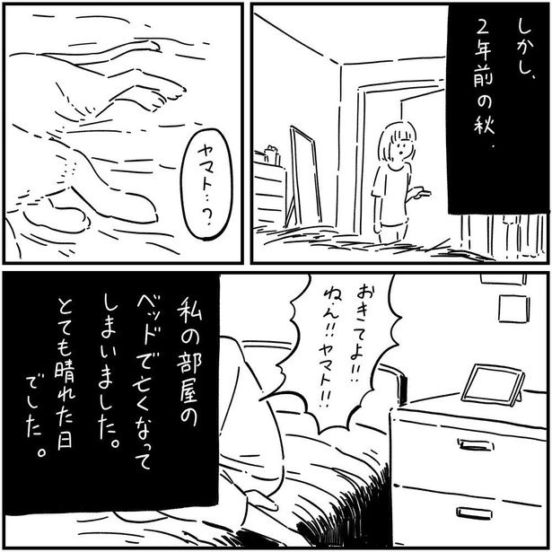 猫のヤマト(3) 画像提供；(c)しろやぎ秋吾／双葉社
