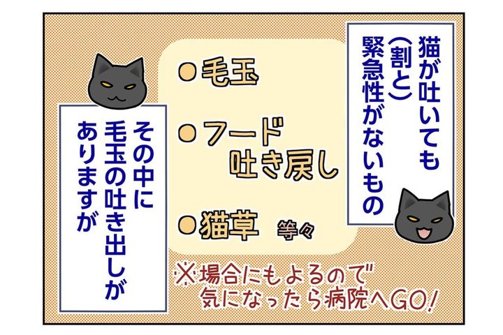 【マンガ・老猫日誌＃95】人生で初めて見た猫の毛玉吐き〜思い出の老猫日誌・桃姐と小論