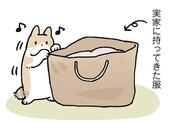 服が入ったカバンが気になる （C）AKR／KADOKAWA