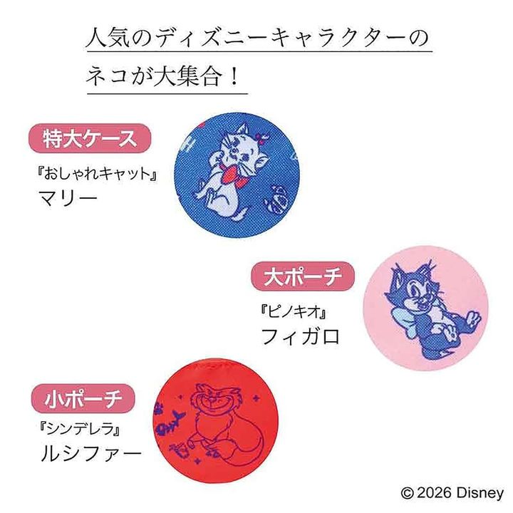 特大ケース＆大・小ポーチ豪華3点セット