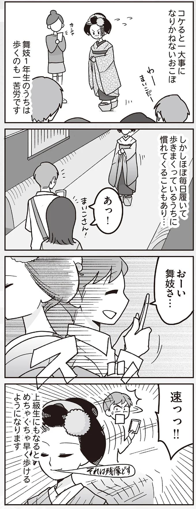 16337211.webp
