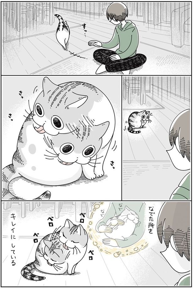 なでた所をキレイにしている （C）キュルZ／KADOKAWA