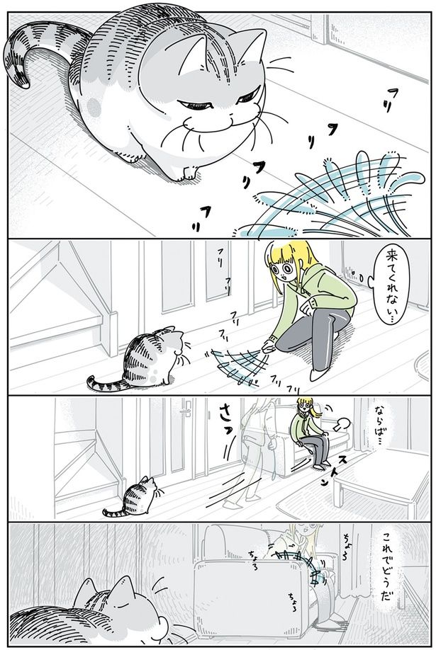 ものかげでちらちらするネコじゃらし （C）キュルZ／KADOKAWA