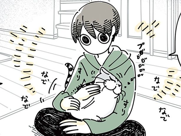 猫をなでなでしたら… （C）キュルZ／KADOKAWA