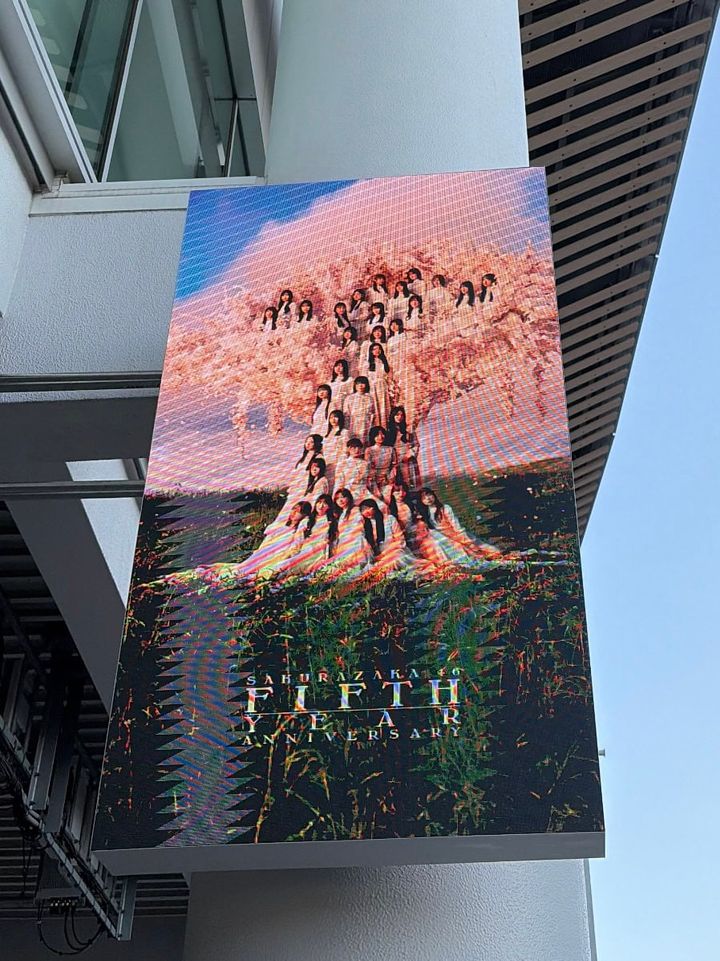 櫻坂46 ライブフラッグ