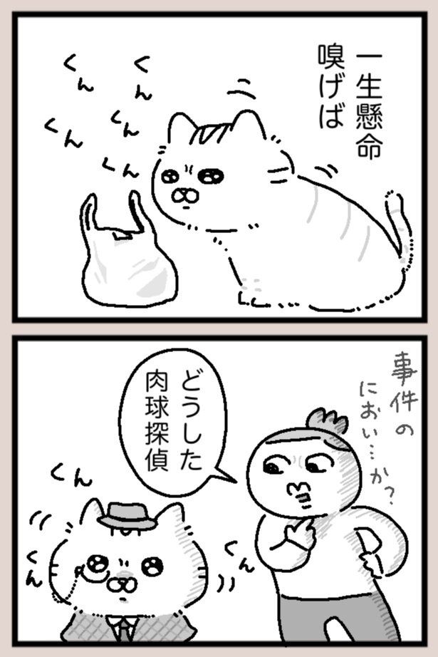 もう何をしていても愛しい… maxぽんぽん丸(@o0TM8mta5D4jom)