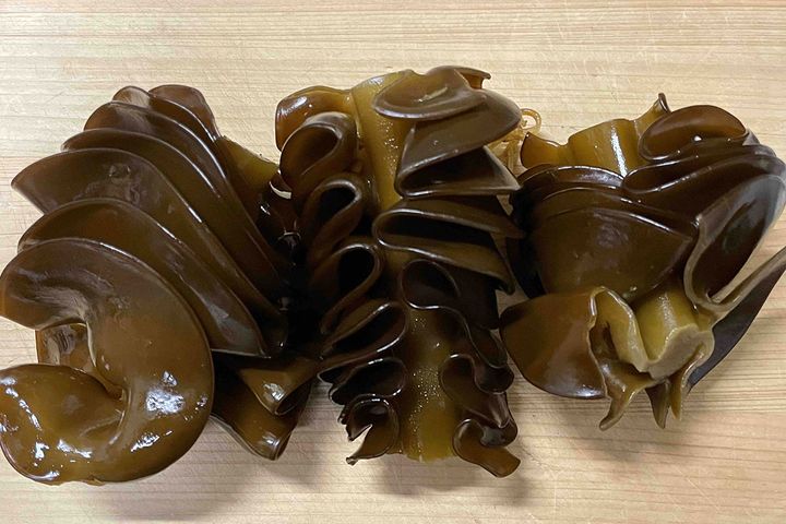 「めかぶ」本来の姿がこちら。ゆでると鮮やかな緑色に変わり、刻むとヌメリが出てきます。