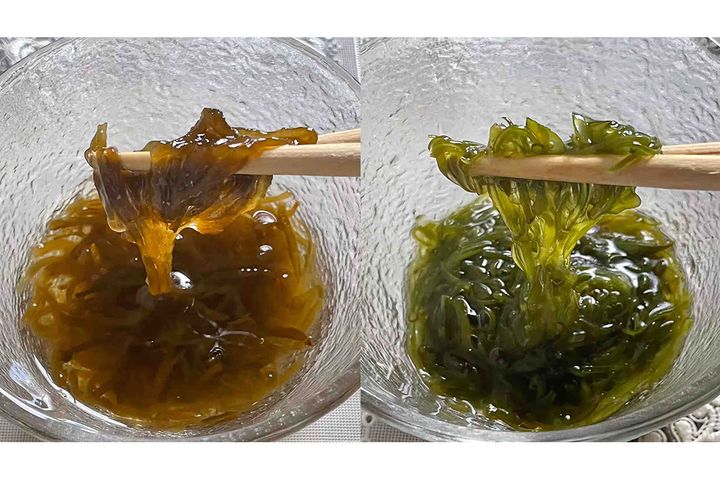 もずく（左）、めかぶ（右）。色以外は見分けがつきにくいほど似ていますね。