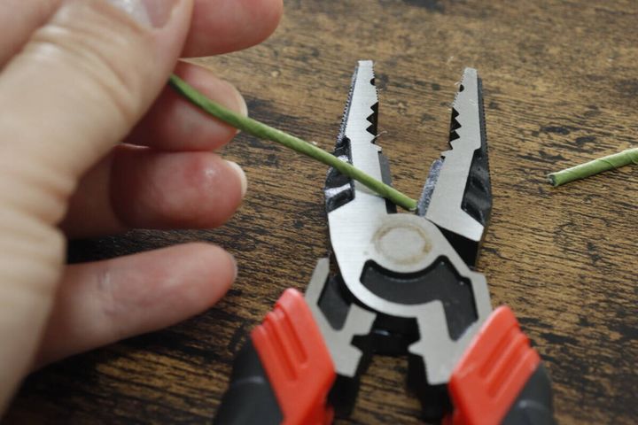 モールフラワー 切断