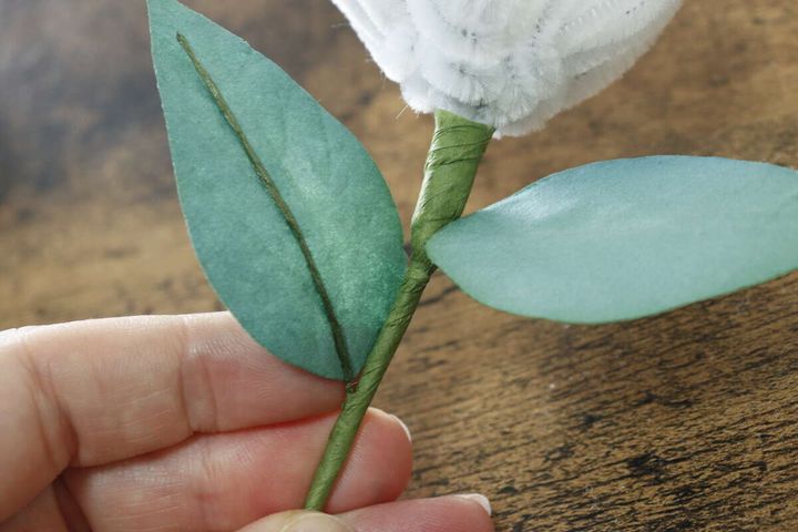 モールフラワー 茎部分