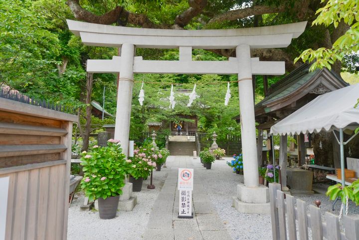 鎌倉の御霊神社