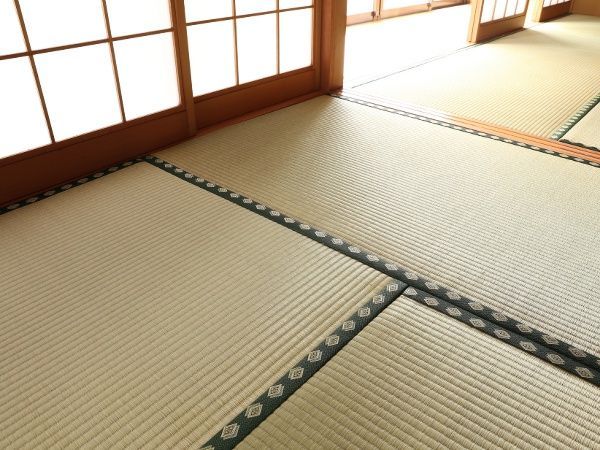 シバンムシ（死番虫）ってどんな害虫？被害は？