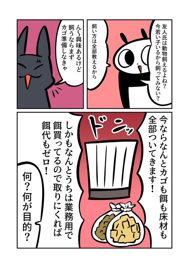  第3回より