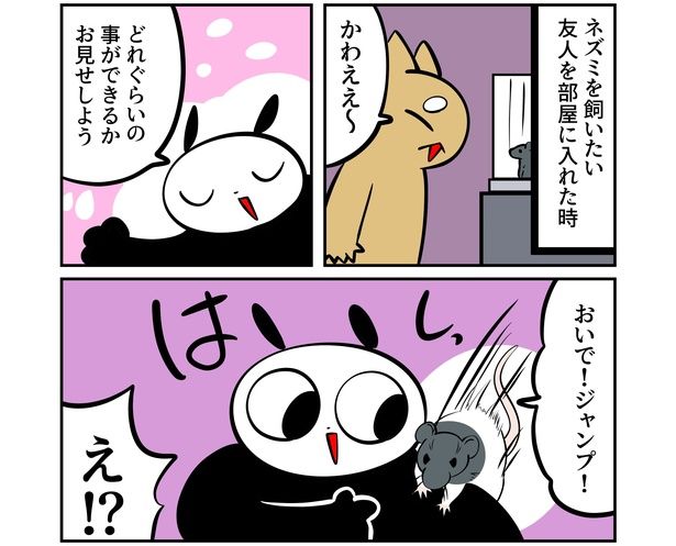第5回より