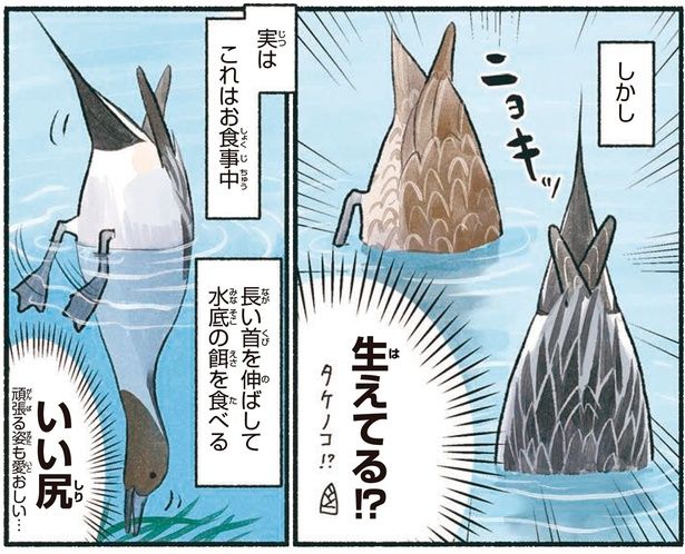 生えてる！？ （C）piro piro piccolo／KADOKAWA