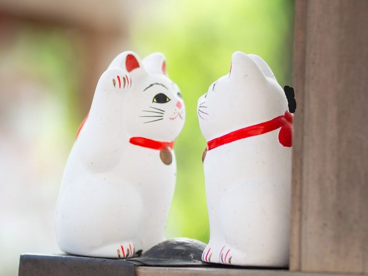 2026年6月12日は、一粒万倍日と巳の日が重なる金運最強開運日！ 未来の豊かさを育てるための「正解アクション」と、絶対に避けたい「NG行動」を解説します。ワクワクする前向きな種まきで、最高の財運を引き寄せましょう。（画像出典：PIXTA）