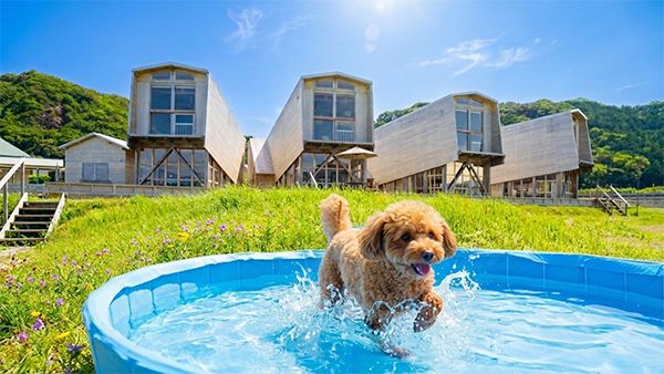 【和歌山県太地町】旅行中に快適な涼を！和歌山の絶景宿「花いろどりの宿 花游」がプールをオープン