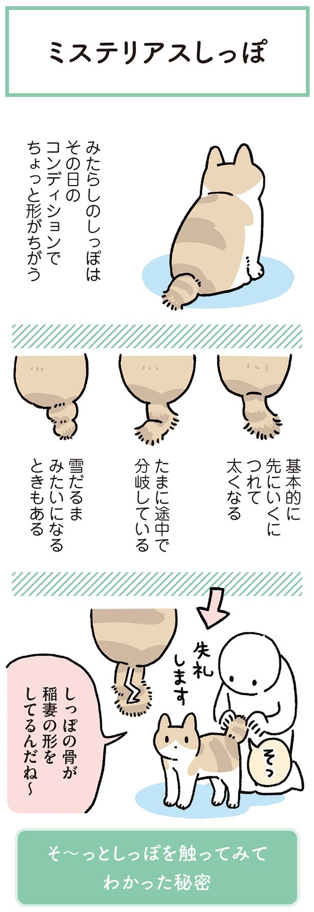 ミステリアスしっぽ （C）AKR／KADOKAWA