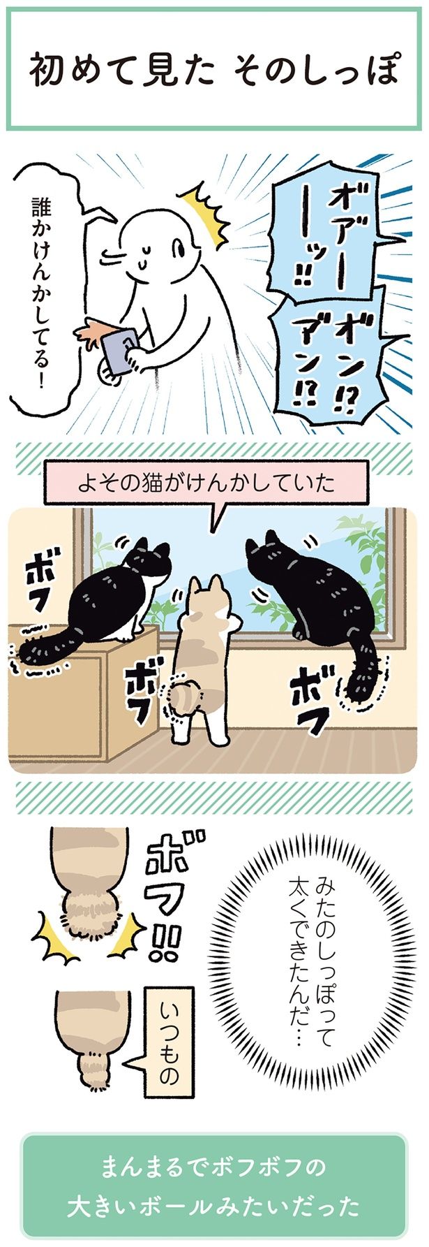 初めて見た そのしっぽ （C）AKR／KADOKAWA