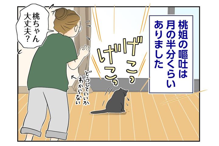 【マンガ・老猫日誌＃96】桃姐の嘔吐が止まらない〜思い出の老猫日誌・桃姐と小論