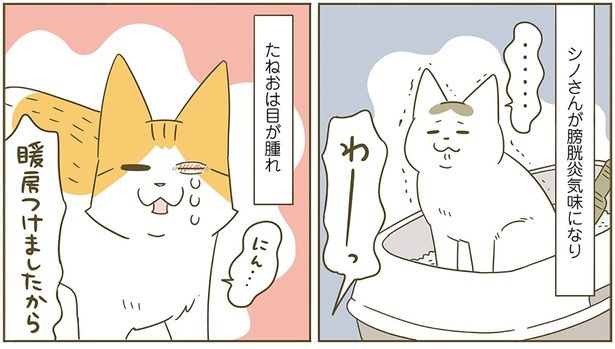 暖房つけましたから！ （C）卵山玉子／KADOKAWA