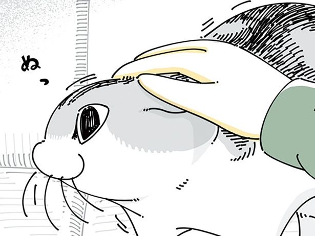 なでなでに飽きやすい （C）キュルZ／KADOKAWA