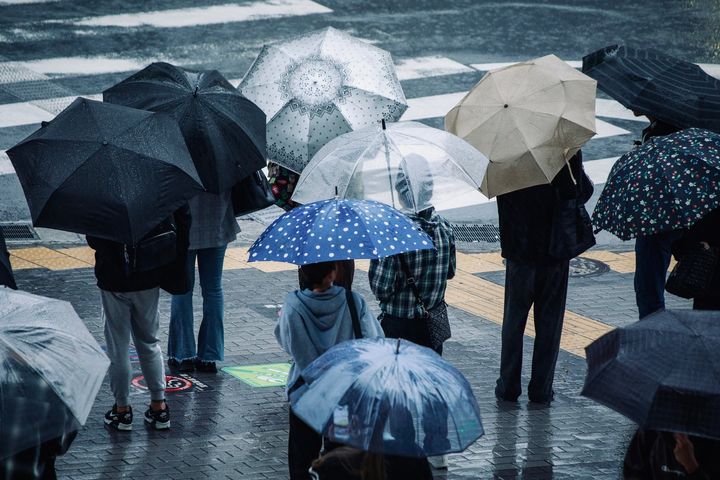 傘の撥水効果を復活させる方法とは？（画像はイメージ）