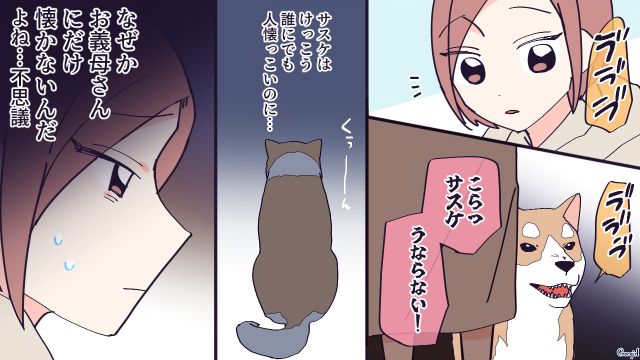 人懐っこい性格の愛犬なのに…二世帯住宅で暮らす義母にだけ、なぜか懐かなかった話