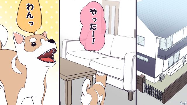 人懐っこい性格の愛犬なのに…二世帯住宅で暮らす義母にだけ、なぜか懐かなかった話