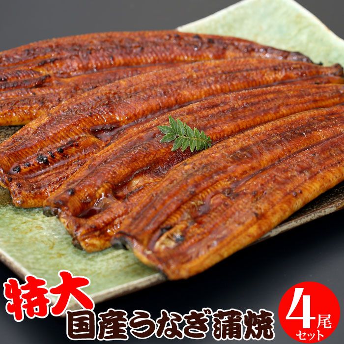 特大うなぎ蒲焼 200g〜220g×4尾セット 国産