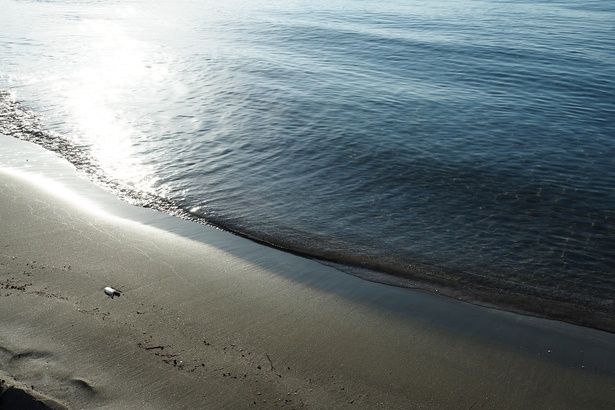 実際に訪れた海の透明度、美しさは圧巻だ