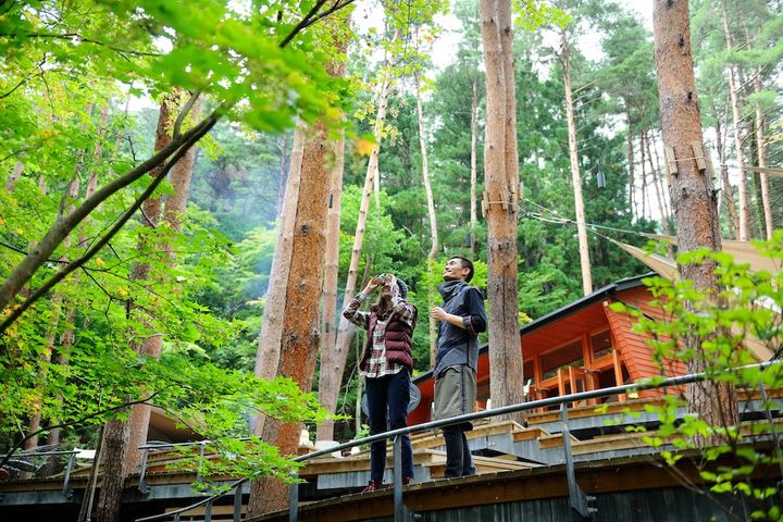 「初夏の森 ディスカバーウォーク」