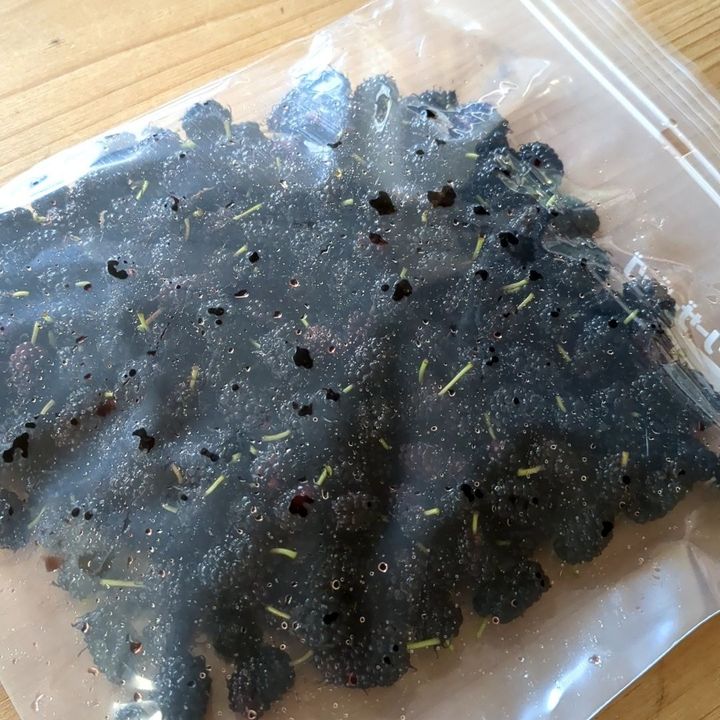 一度冷凍しました。