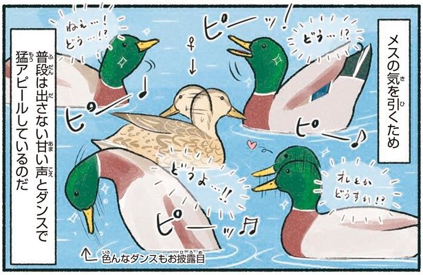 普段は出さない甘い声とダンスで猛アピールしているのだ （C）piro piro piccolo／KADOKAWA
