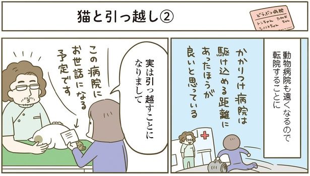 動物病院も転院することに （C）卵山玉子／KADOKAWA