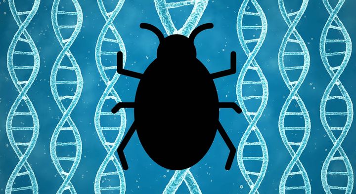 欧州人の「虫嫌い」、ただの文化ではなく9000年の進化史に隠れていた