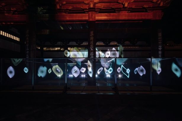 最古の禅堂で映像×ニューロミュージック (C)VIE / ZEN NIGHT 東福寺 2026