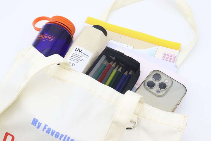 ダイソーのマチ付スクエアトートバッグの使用例1