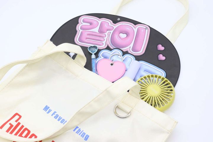 ダイソーのマチ付スクエアトートバッグの使用例2