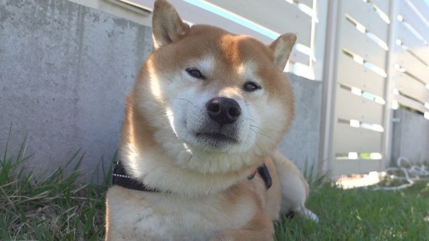 たくさん待たされて、不貞腐れ気味