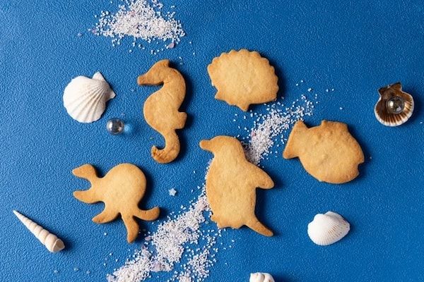 【富山県富山市】「ANAクラウンプラザホテル富山」で魚津水族館とコラボしたスーツブッフェ開催！